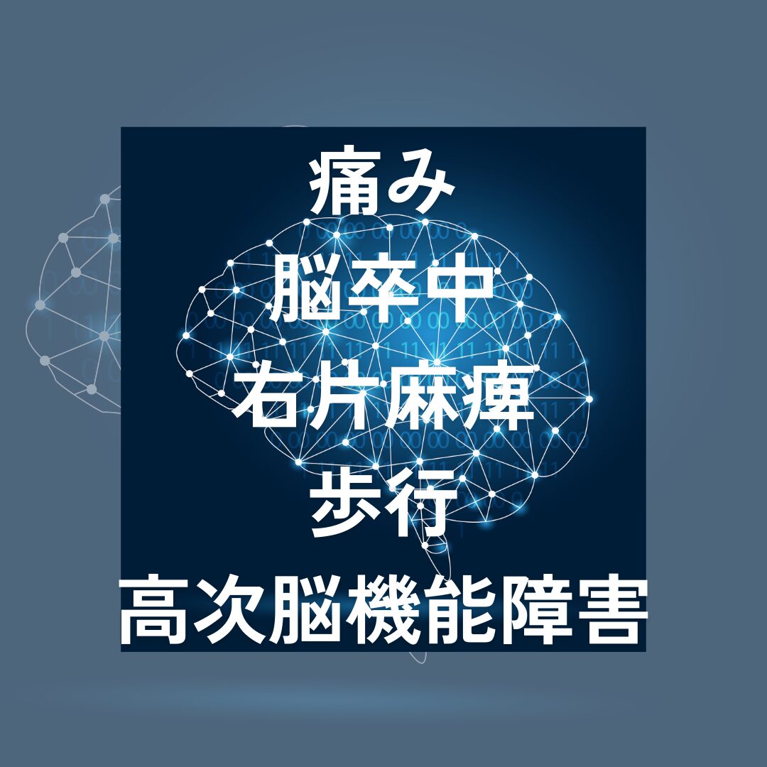 高い専門性のリハビリ
