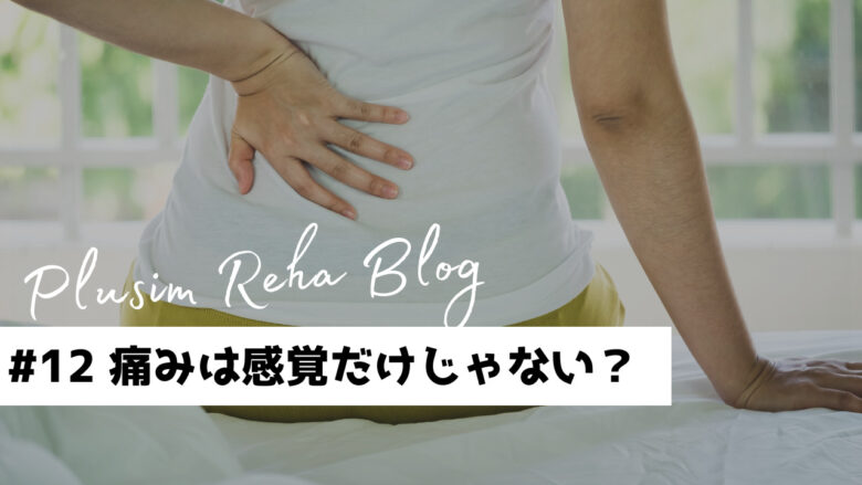 【痛みのリハビリ必見】痛みは感覚だけじゃない？ー痛みの3つの側面ー
