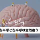 脳の右半球と左半球は全然違う！？