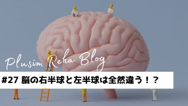 脳の右半球と左半球は全然違う！？