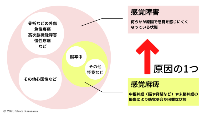 麻痺と障害(感覚)