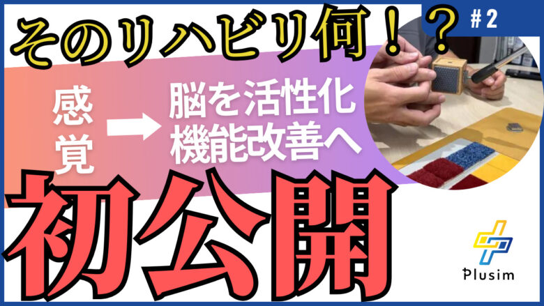 【動画】プラシムのリハビリ初公開！